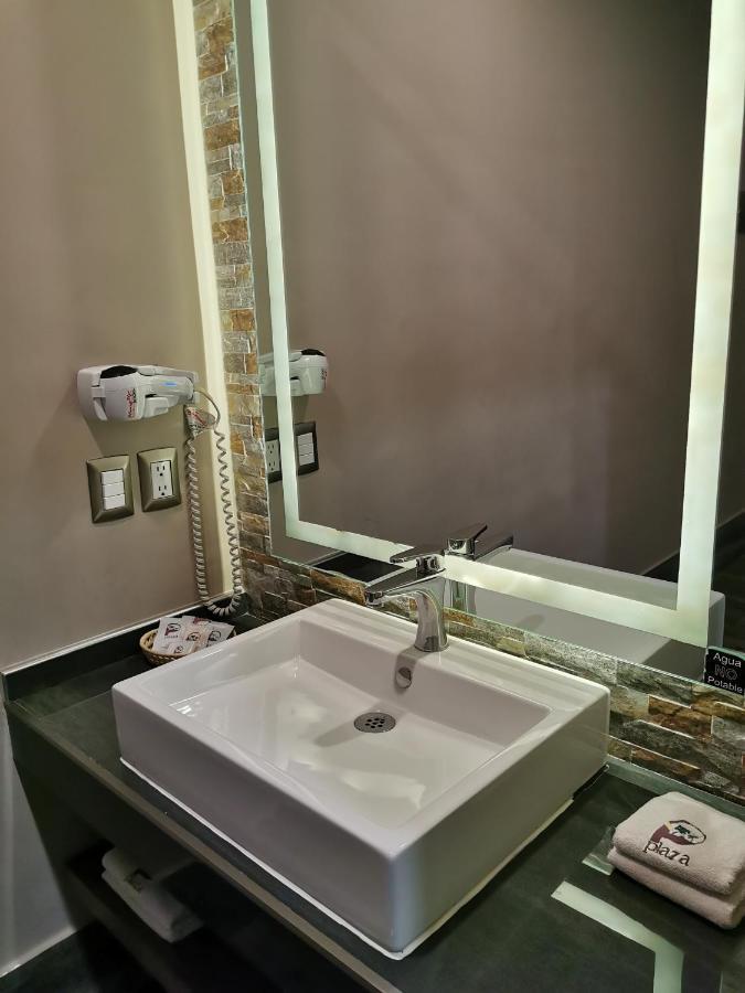 Hotel Plaza Arteaga มอนแตร์เรย์ ภายนอก รูปภาพ