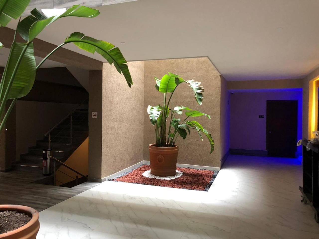 Hotel Plaza Arteaga มอนแตร์เรย์ ภายนอก รูปภาพ